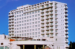 八重山案内 沖縄 宿泊 安宿 1泊1000円 リトルアジア Hostel Okinawa Littleasia Guesthouse 八重山案内 沖縄 宿泊 安宿 1泊1000円 リトルアジア Hostel Okinawa Littleasia Guesthouse