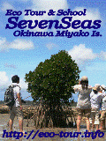 SevenSeas{Ó